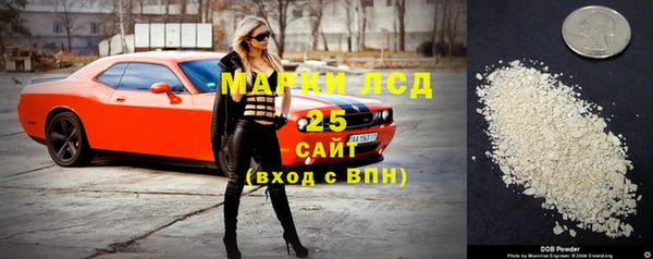 метадон Алексин
