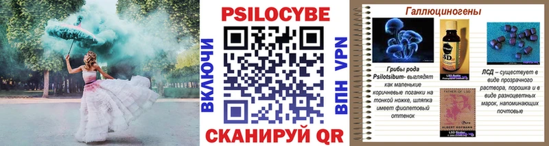 мориарти как зайти  Межгорье  Галлюциногенные грибы мицелий 